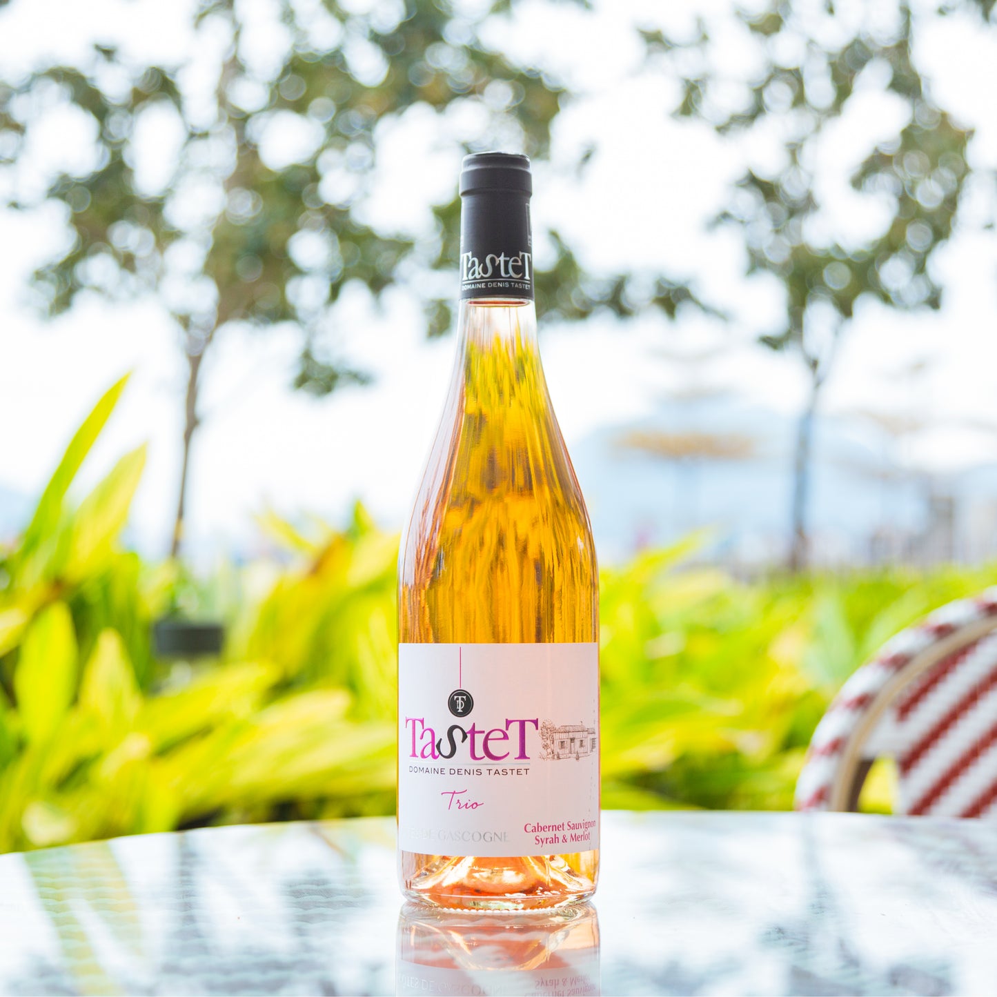 Domaine Denis Tastet - Trio 2020